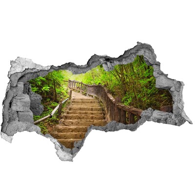 Hole wall sticker Forest path in the mountains