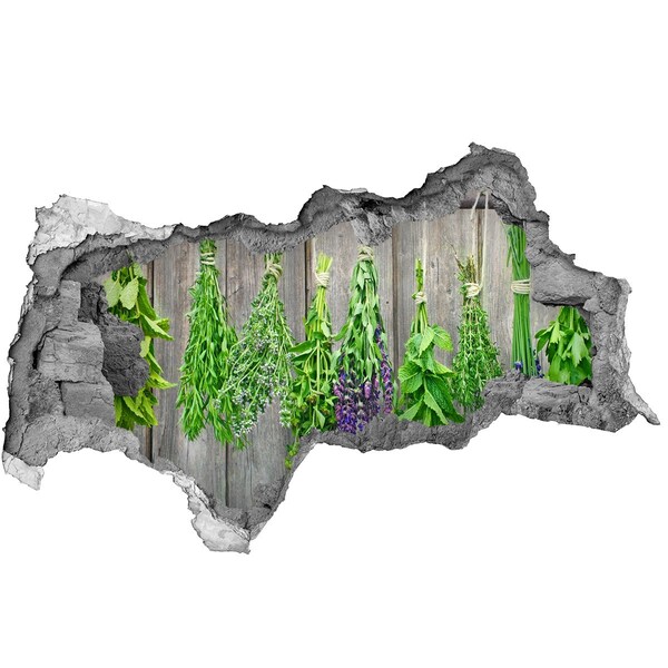 Hole in the wall decal Herb garden behind the wall