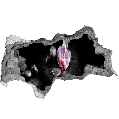 Hole wall sticker Orchid flower surrounded by stones