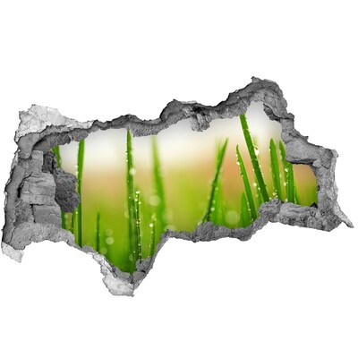 Hole wall sticker Green meadow with drops of water