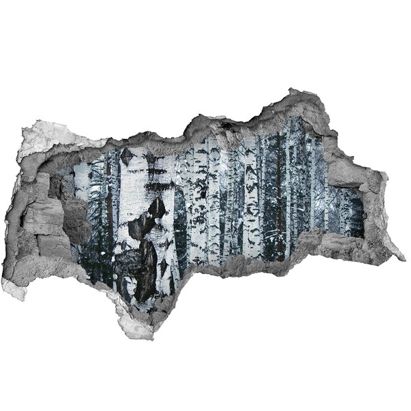 Hole in the wall sticker Winter birch forest