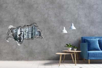 Hole in the wall sticker Winter birch forest