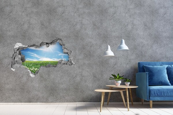 Hole wall sticker A flower meadow under a blue sky