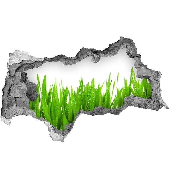 Hole in the wall sticker Green meadow through a hole in the wall