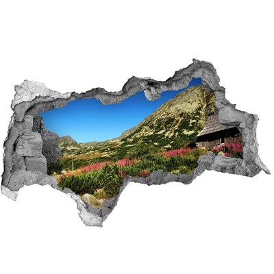 Hole wall sticker Mountain landscape in a hole in the wall