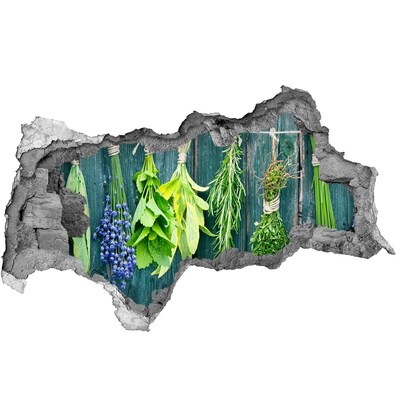 Hole wall sticker Herb garden in the kitchen