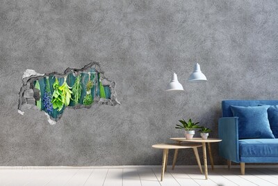 Hole wall sticker Herb garden in the kitchen