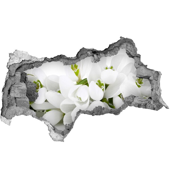 Hole in the wall decal Flowers in concrete