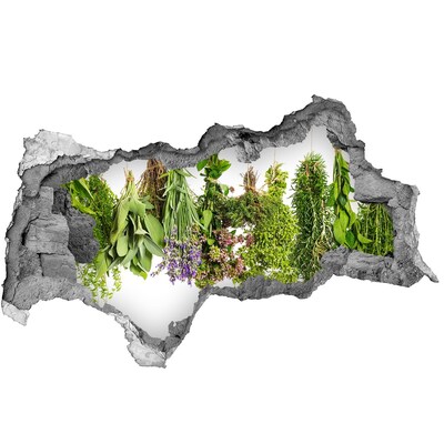 Hole wall sticker Green herb garden