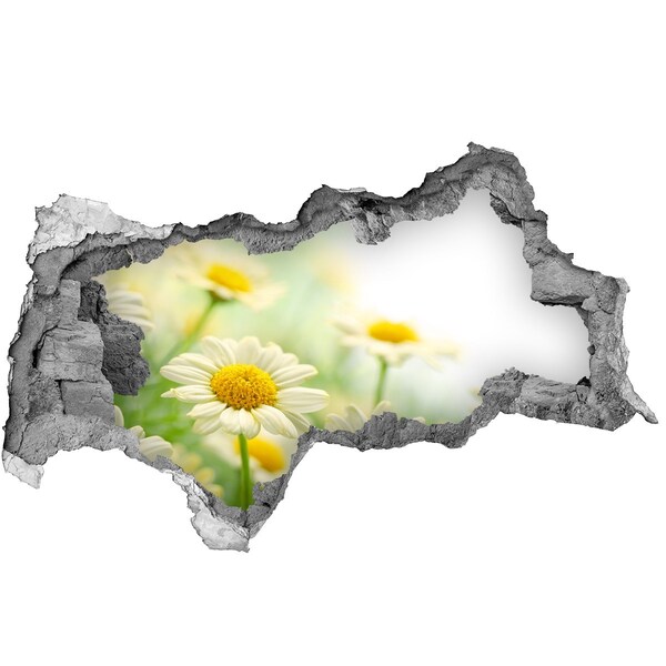 Hole in the wall sticker A flower paradise behind the wall