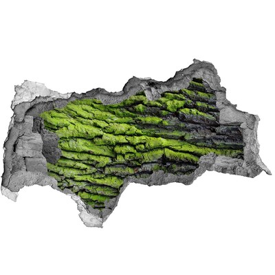 Hole wall sticker Green rock in the hole