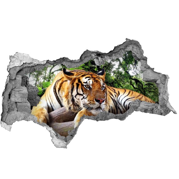 Hole in the wall sticker Tiger in the jungle