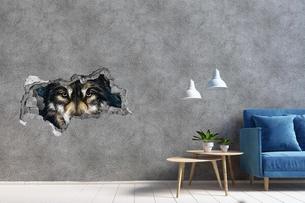 Hole in the wall decal Wolf's gaze through the wall