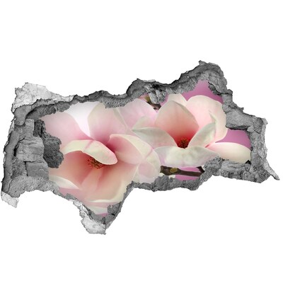 Hole wall sticker A floral dream behind the wall