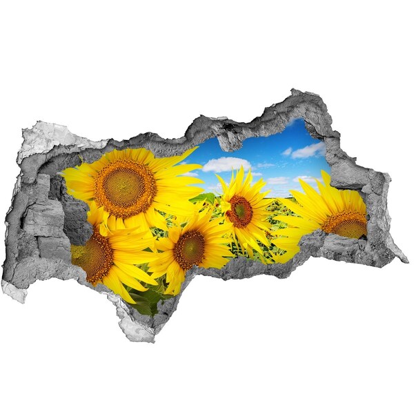 Hole wall sticker A flower paradise with sunflowers