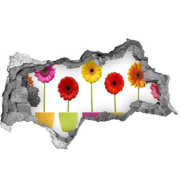 Hole wall sticker Flowers in pots through a hole in the wall