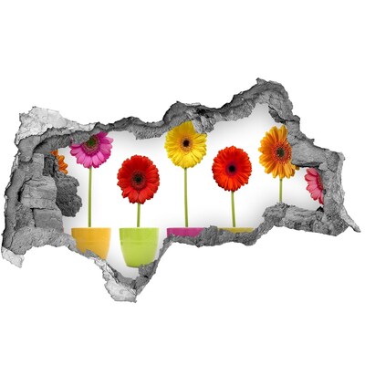 Hole wall sticker Flowers in pots through a hole in the wall