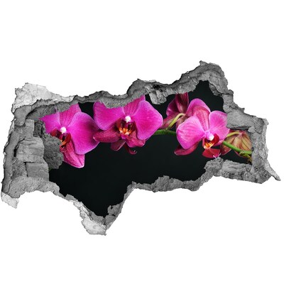 Hole in the wall decal Orchid through the wall