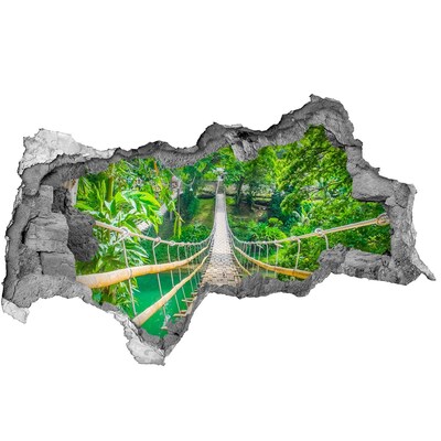 Hole in the wall sticker Bridge in the jungle