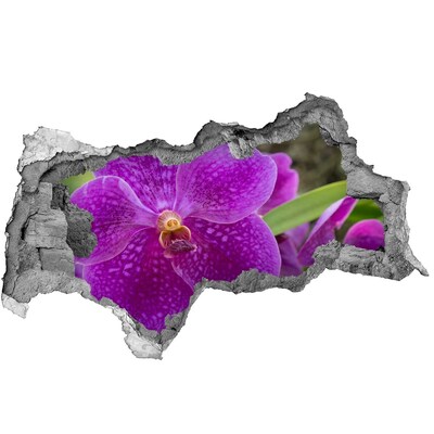 Hole wall sticker Orchid flower in a hole in the wall