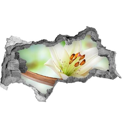 Hole wall sticker A floral oasis in concrete