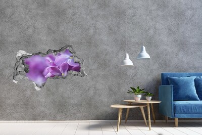 Hole in the wall sticker A floral oasis in concrete