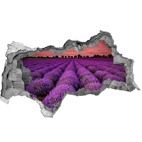 Hole wall sticker Lavender fields at sunset