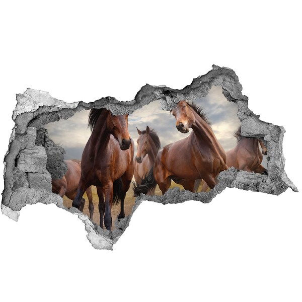 Hole wall sticker A herd of horses in the meadow