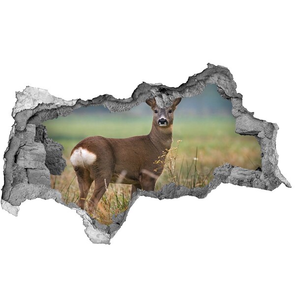 Hole wall sticker Roe deer in its natural habitat