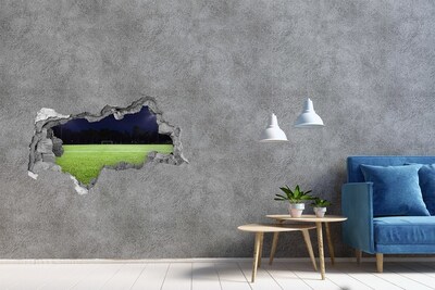 Hole in the wall decal Football pitch at night
