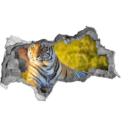 Hole in the wall decal Tiger in its natural habitat