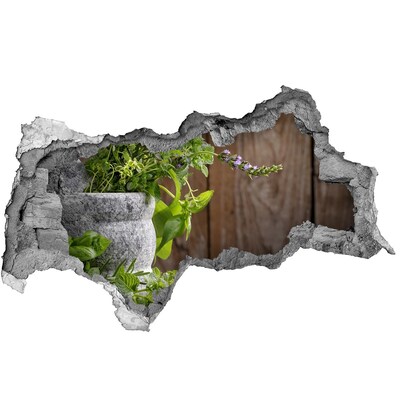 Hole in the wall decal A green garden in a concrete hole