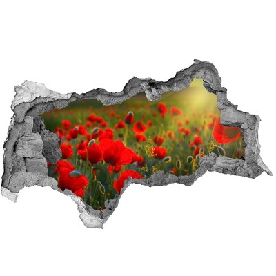 Hole in the wall sticker A Hole-in-the-Wall Floral Paradise