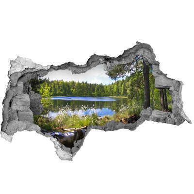 Hole wall sticker Green forest by the lake