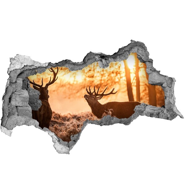 Hole in the wall decal Sunrise in the forest