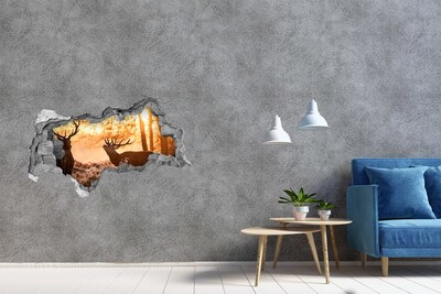 Hole in the wall decal Sunrise in the forest