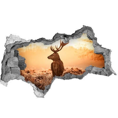 Hole in the wall sticker Deer in the golden light of sunset