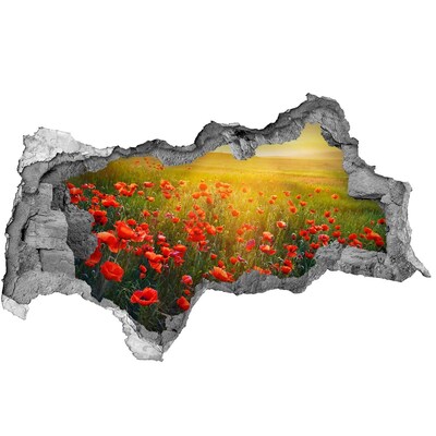 Hole in the wall decal Floral landscape in the meadow