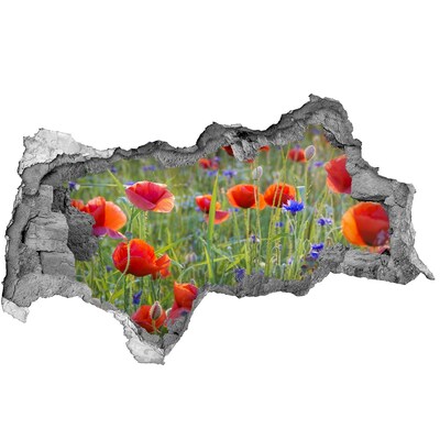 Hole in the wall sticker A flower paradise behind the wall