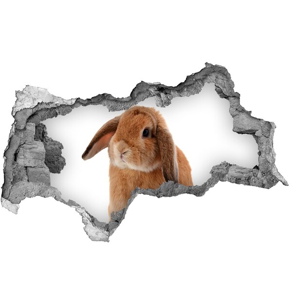 Hole wall sticker Bunny in a Hole in the Wall