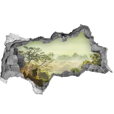 Hole wall sticker Green valley into the fog
