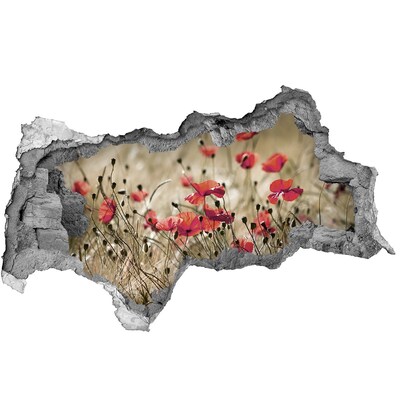 Hole in the wall sticker A floral paradise among concrete