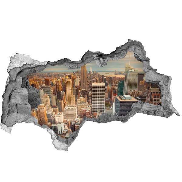 Hole in the wall sticker View of New York