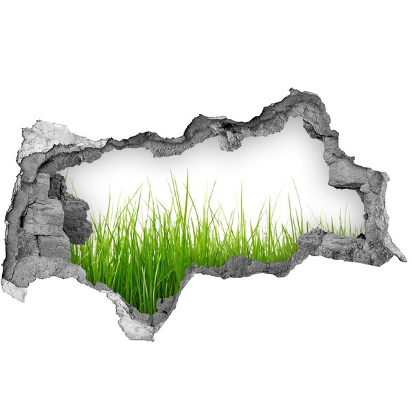 Hole in the wall sticker A green meadow behind the wall