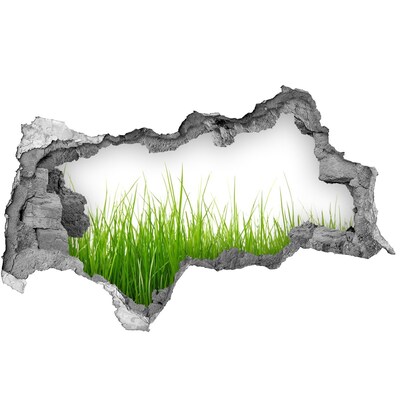 Hole in the wall sticker A green meadow behind the wall