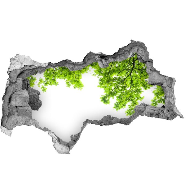 Hole in the wall decal A green oasis behind the wall