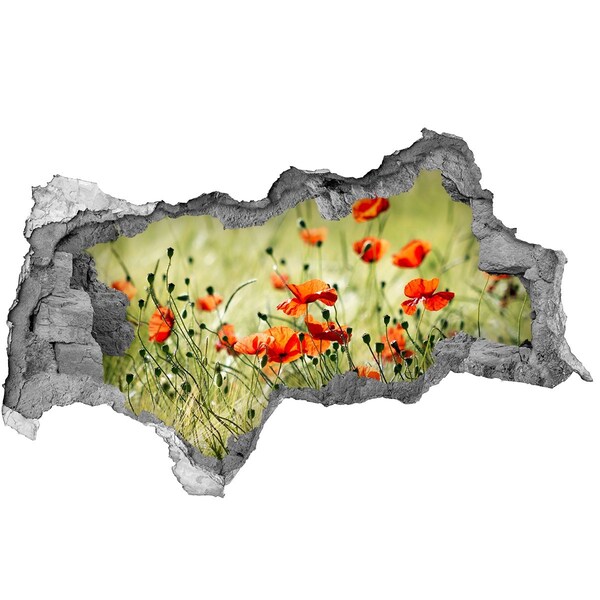 Hole wall sticker A floral paradise among the poppies