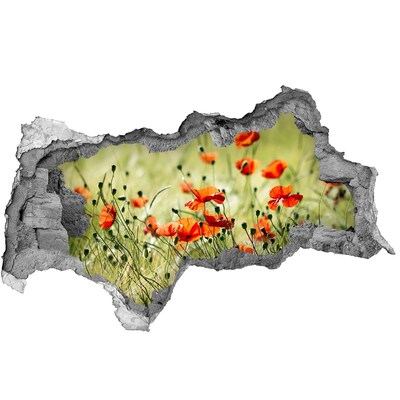 Hole wall sticker A floral paradise among the poppies