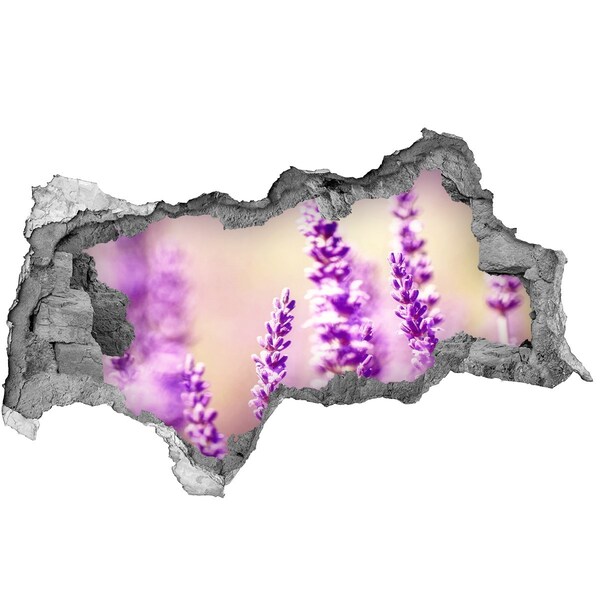 Hole in the wall decal Lavender flowers in a broken wall