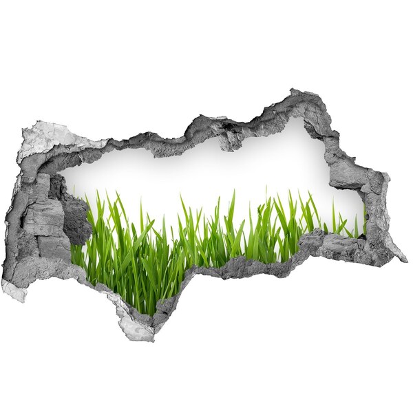 Hole in the wall decal Green meadow behind the wall